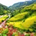 Ham Rong Mountain